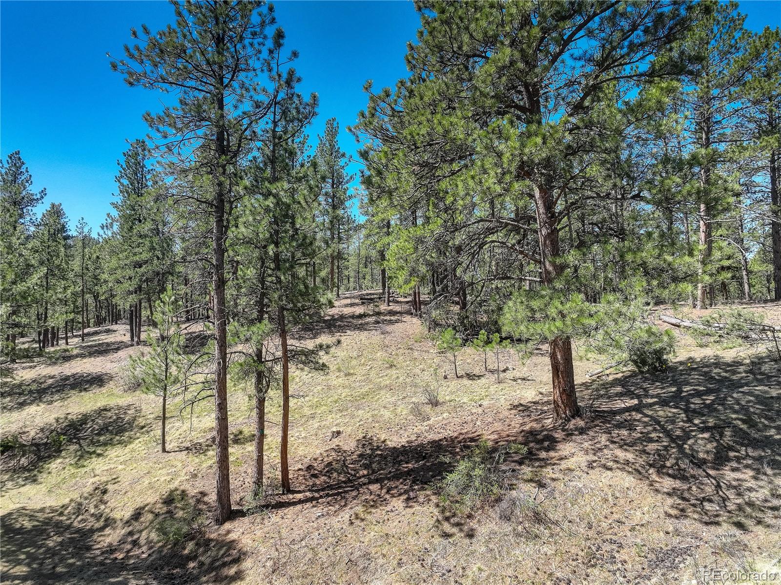 000 Hayden Ridge Rd Lot 65, Evergreen, CO 80439