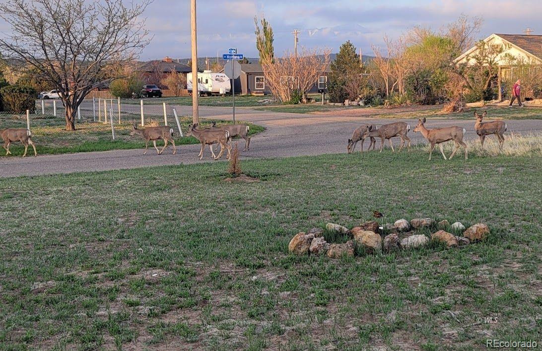 816 W Montana St, Walsenburg, CO 81089