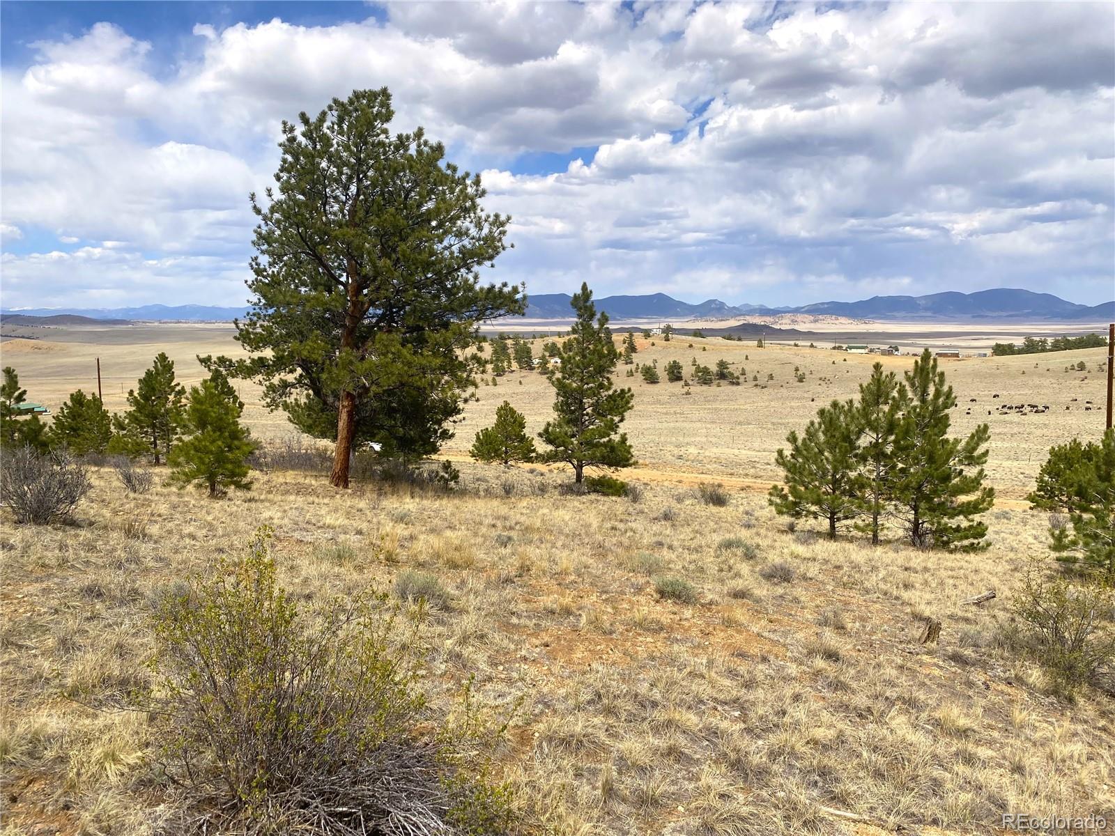 381 Red Cloud Rd, Hartsel, CO 80449