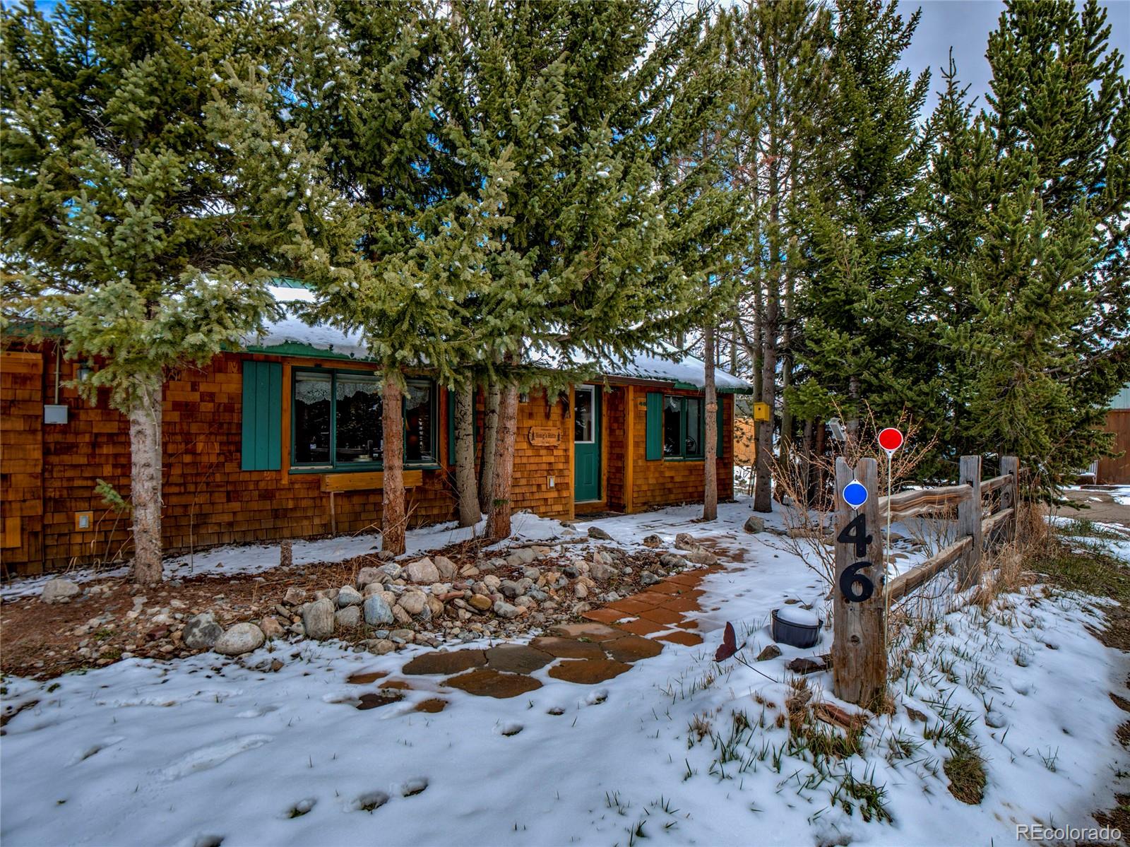 46 Singleton Rd, Alma, CO 80420