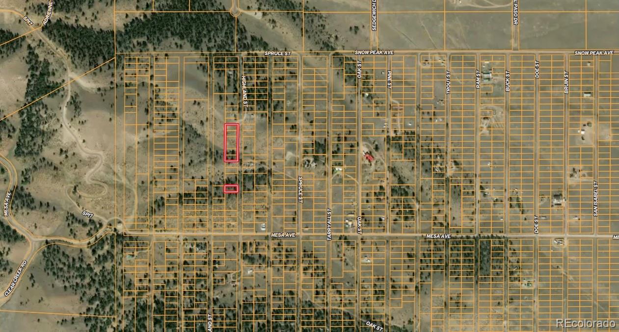 Highland St, Hartsel, CO 80449