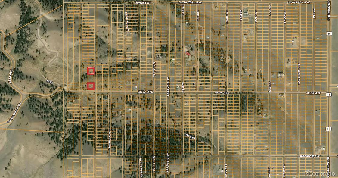 Birch St, Hartsel, CO 80449