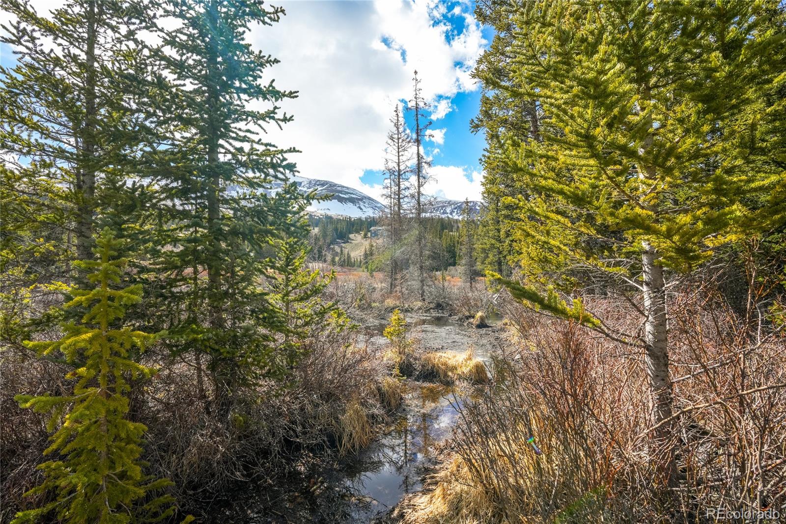 199 Zinc Rd, Alma, CO 80440