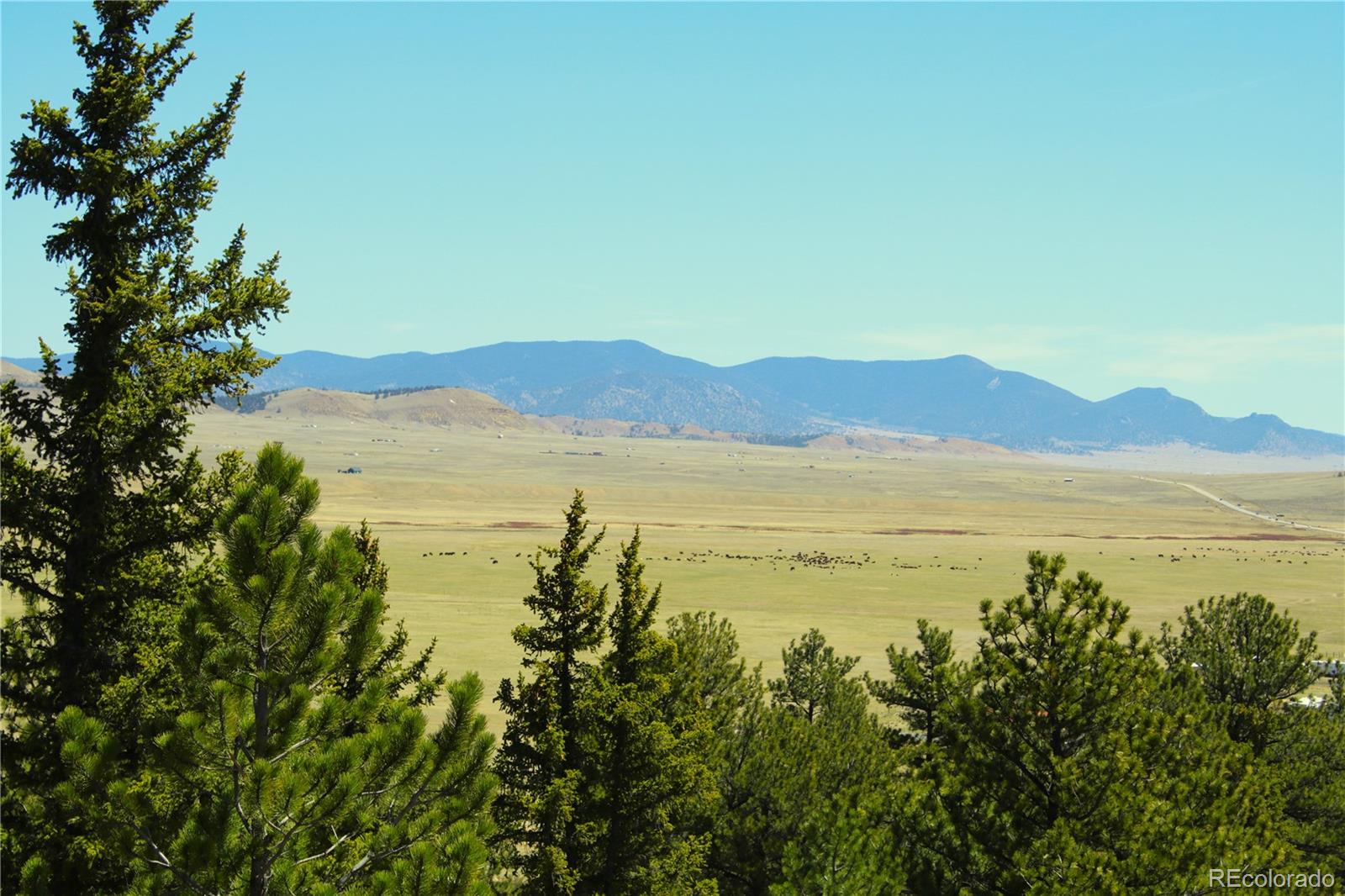 12451 Us 24, Hartsel, CO 80449