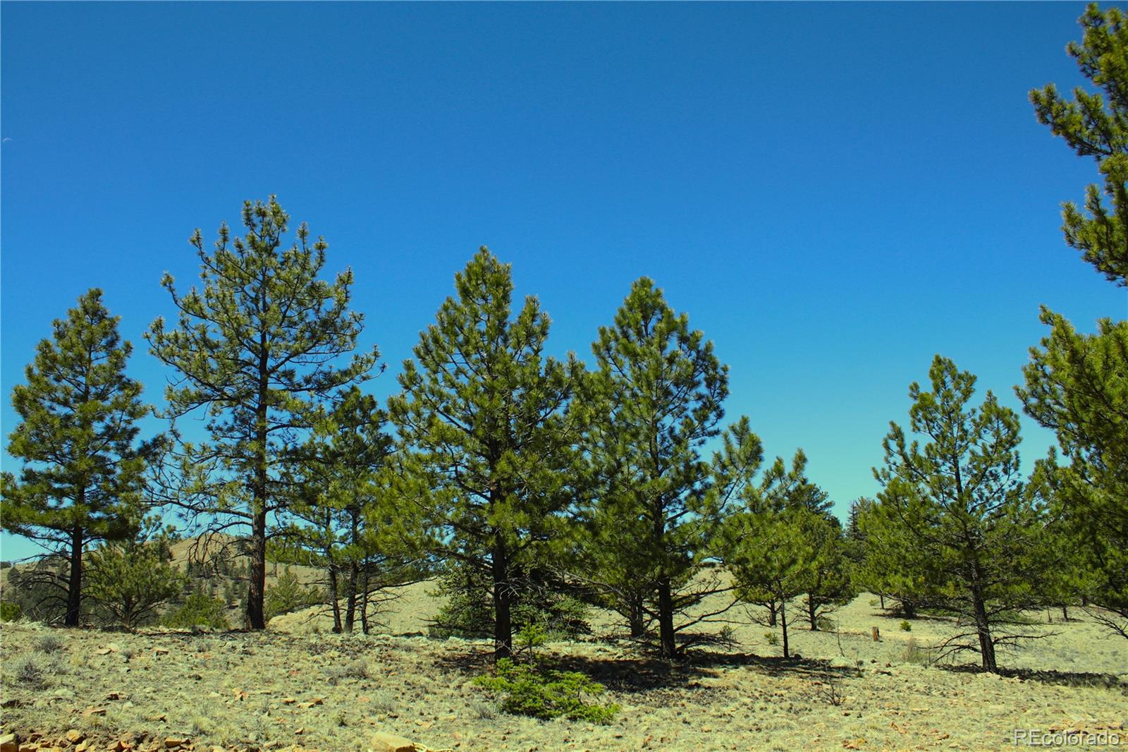 12451 Us 24, Hartsel, CO 80449