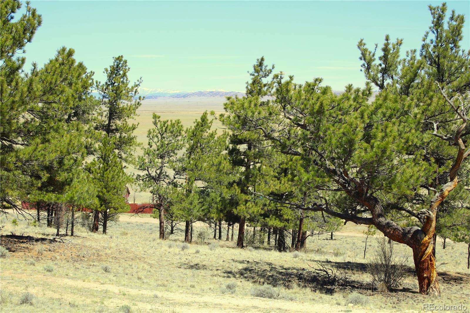 12451 Us 24, Hartsel, CO 80449
