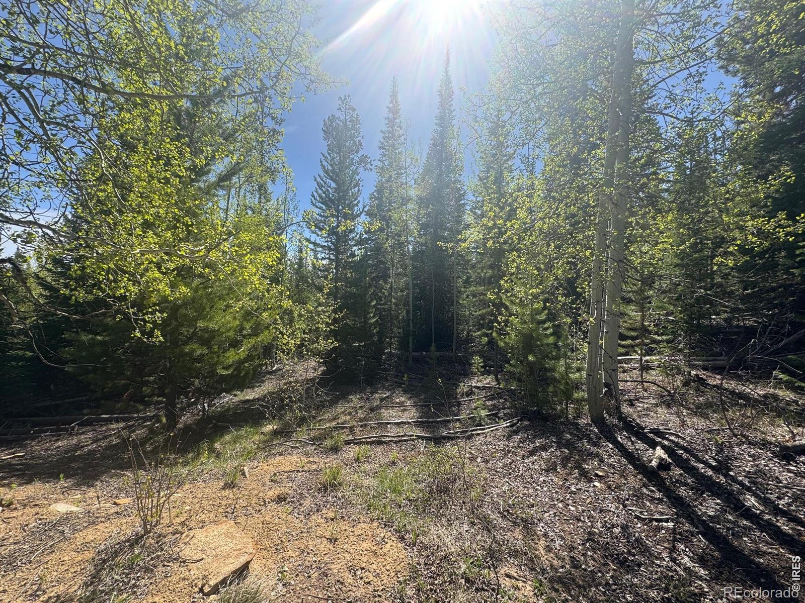 44 Wilderness Rd, Walden, CO 80480
