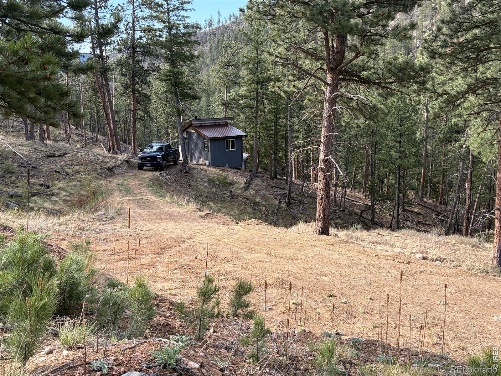 1899 Spring Valley Rd, Bellvue, CO 80512
