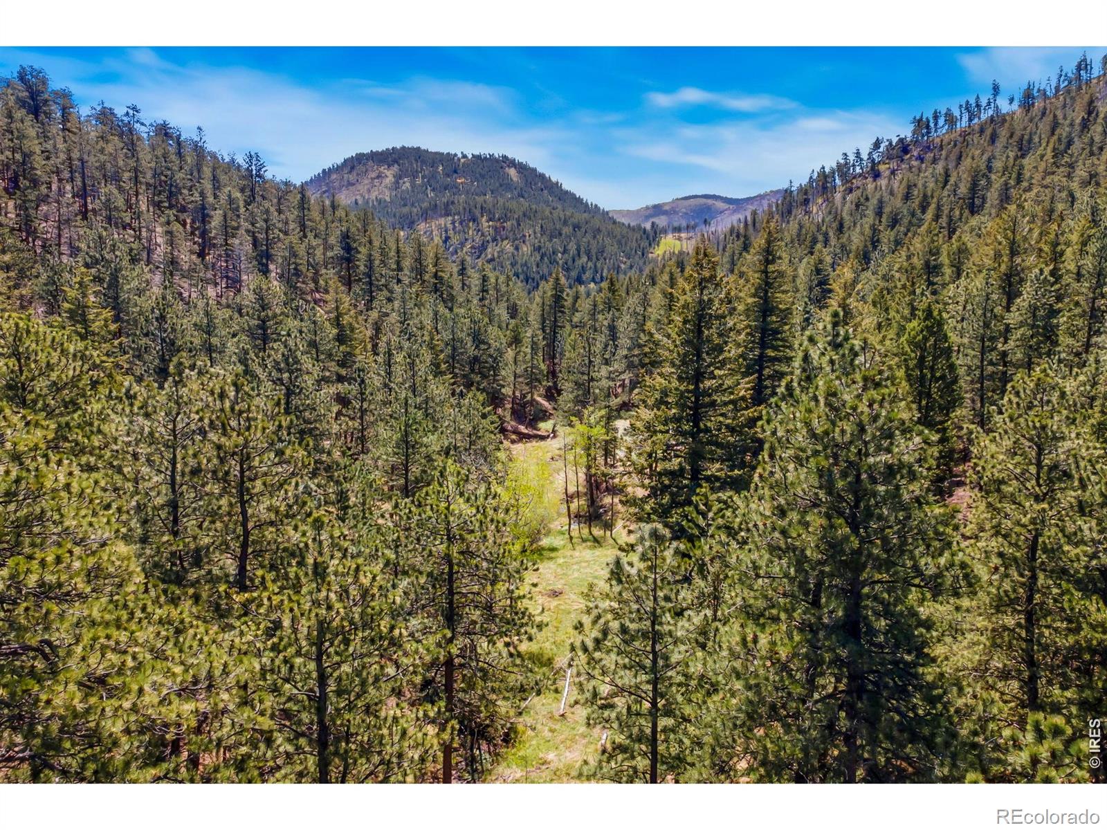 1899 Spring Valley Rd, Bellvue, CO 80512