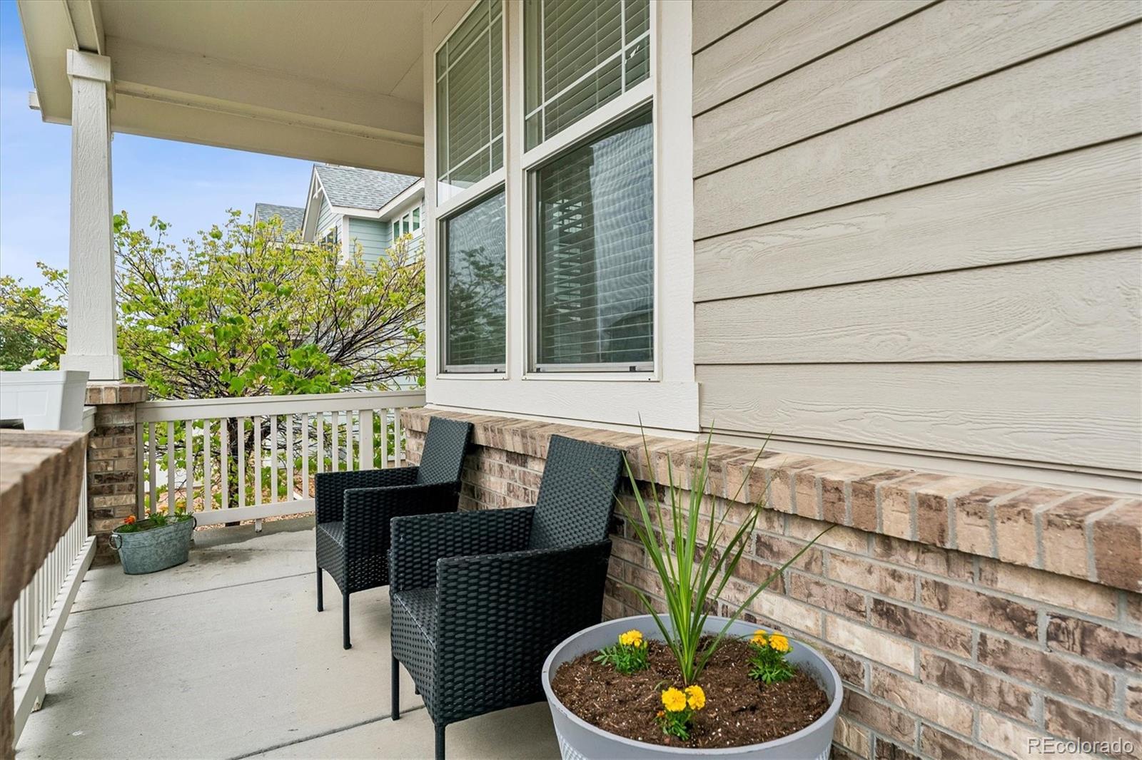 8248 Dressage Rd, Littleton, CO 80125
