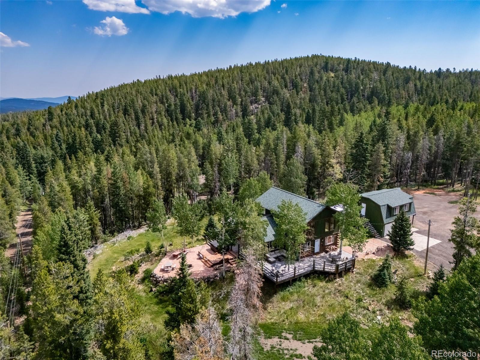 8774 Spring Dr, Conifer, CO 80433