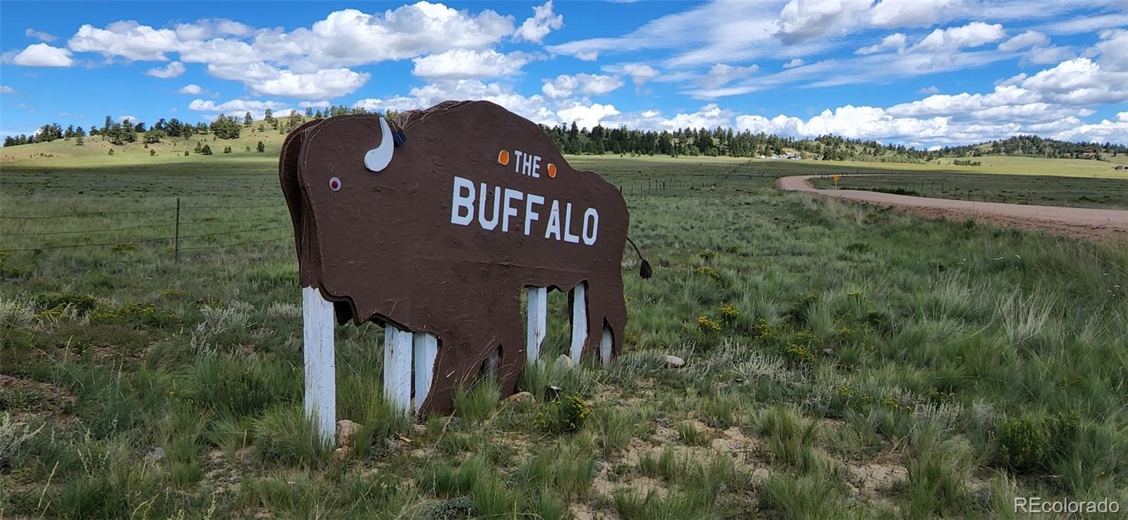 890 Mcdowell Dr, Jefferson, CO 80456