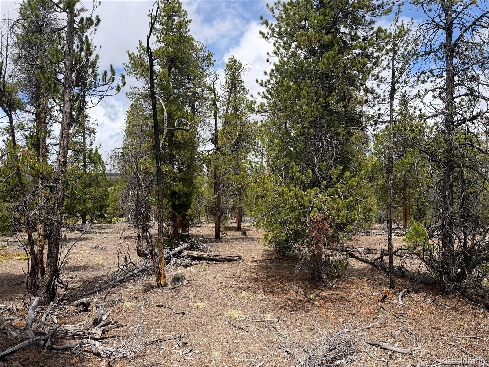 341 Lodgepole Dr, Leadville, CO 80461