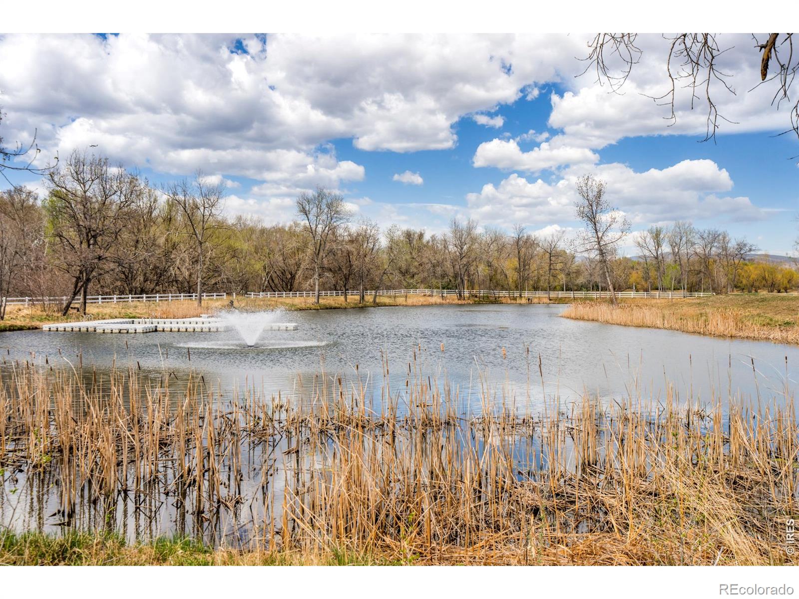 11229 N 75th St, Longmont, CO 80503
