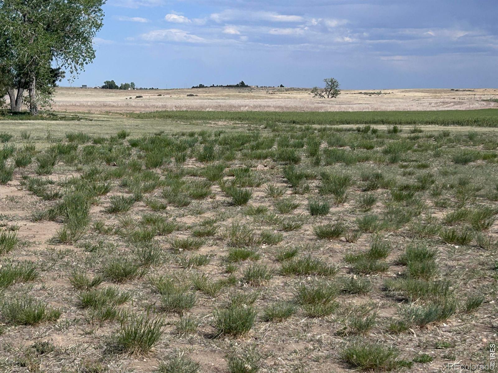 9718 County Road 3, Wiggins, CO 80654