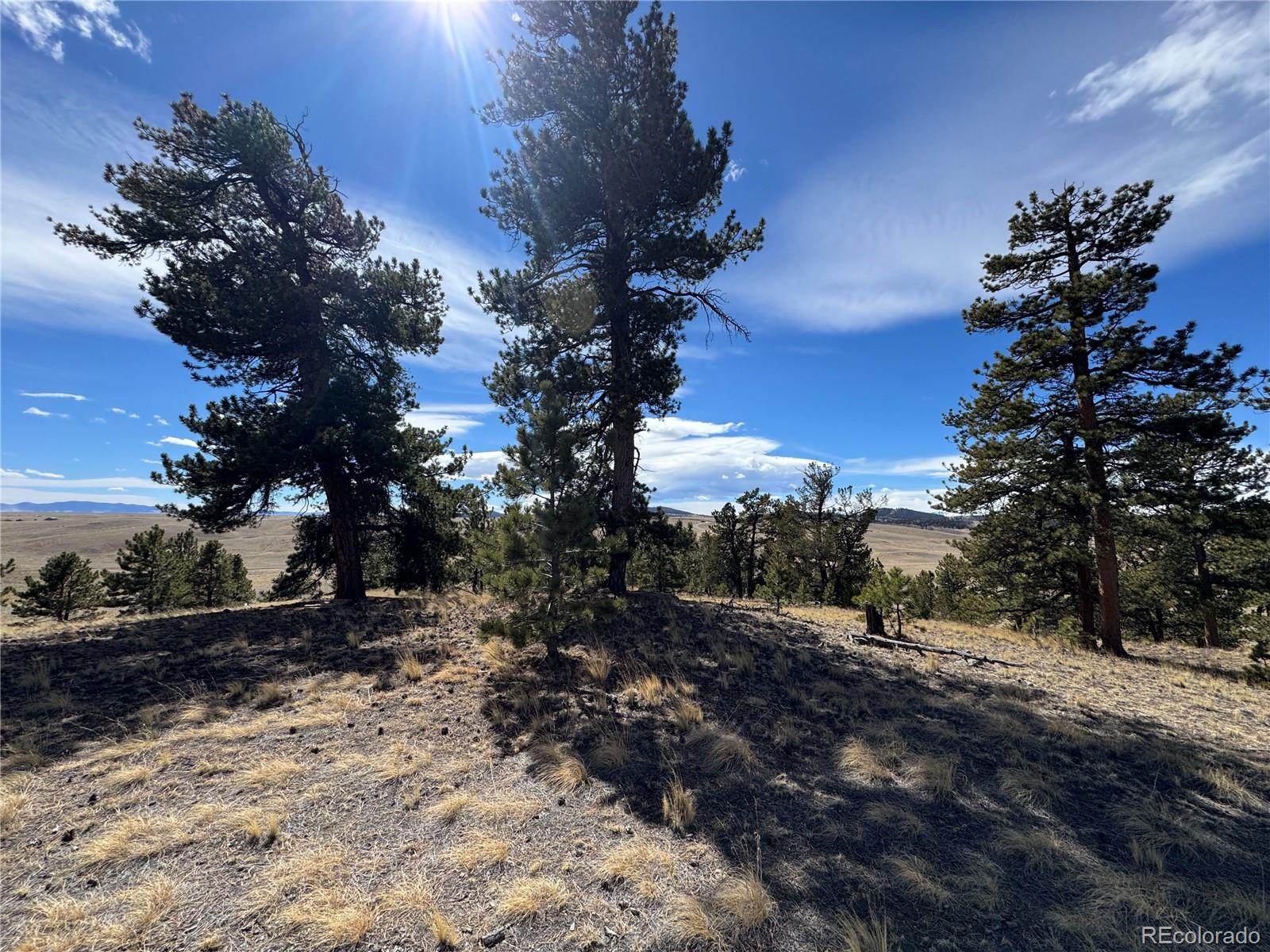 62 Powder Way, Jefferson, CO 80456