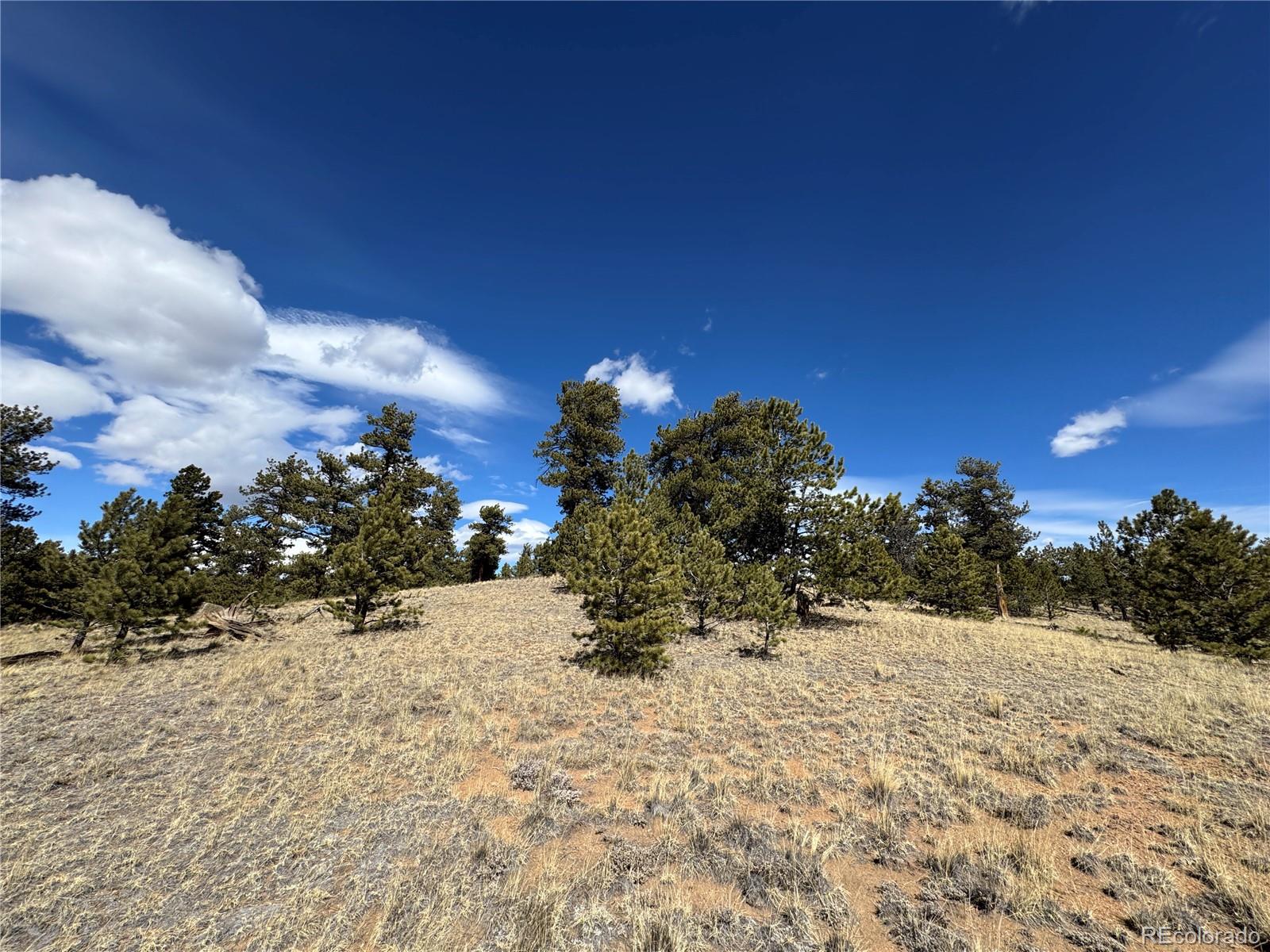 62 Powder Way, Jefferson, CO 80456