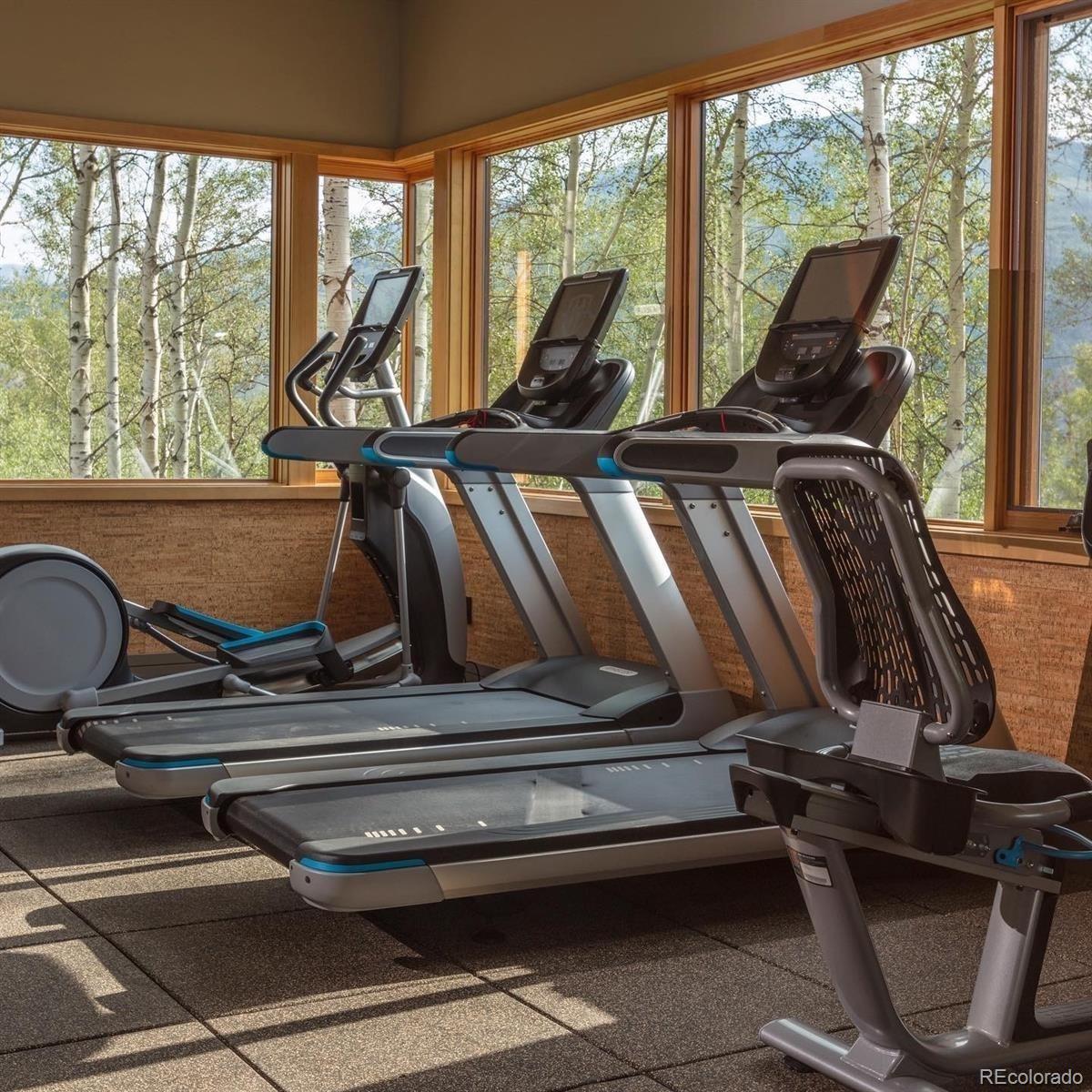 83 Mckay Pl, Silverthorne, CO 80498