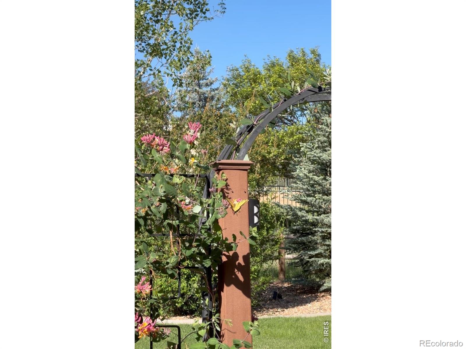 6421 Jordan Dr, Loveland, CO 80537
