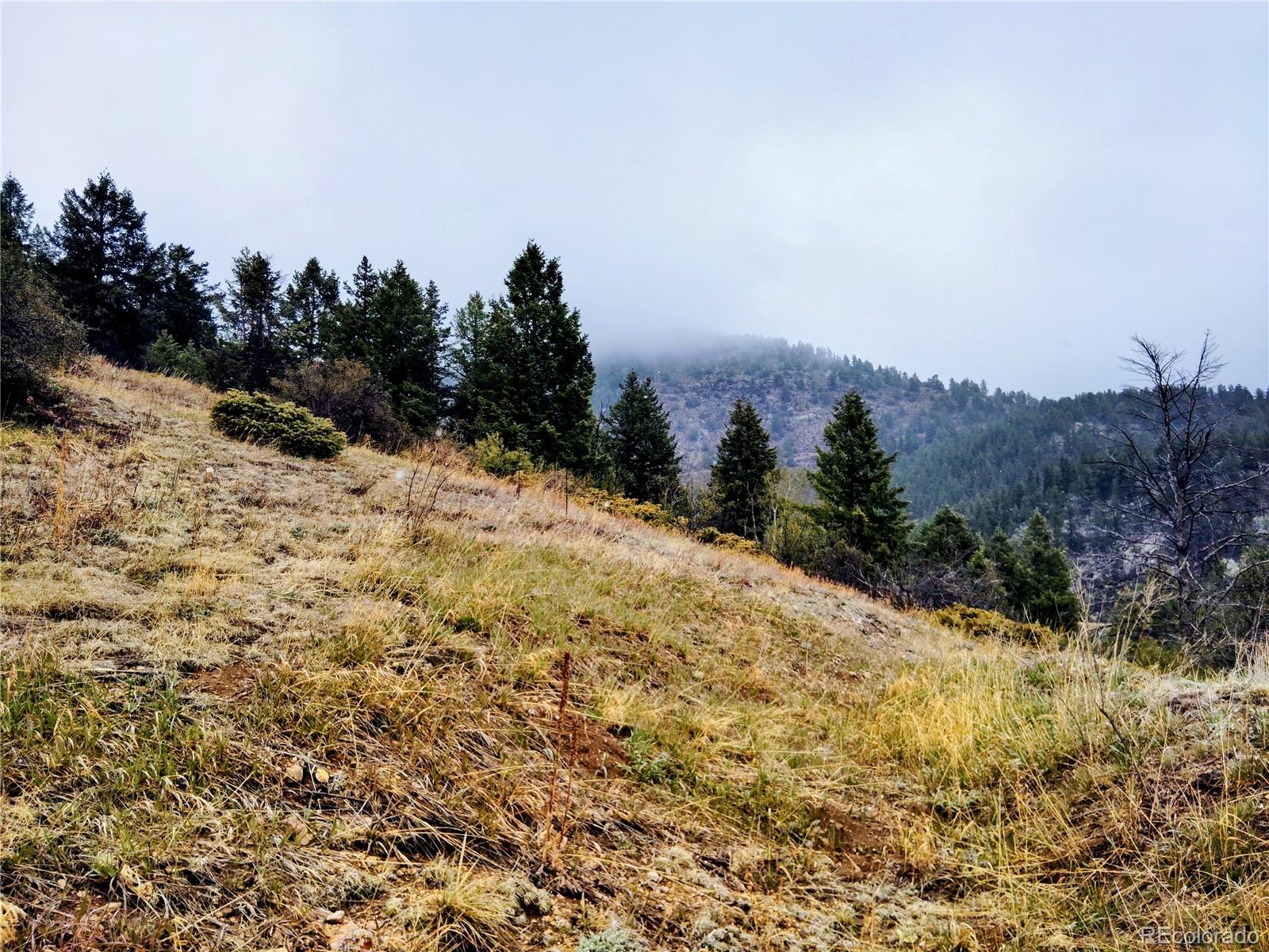 230 Casey St, Central City, CO 80427