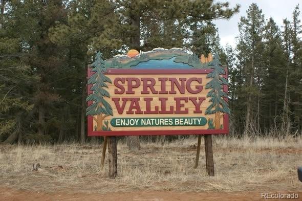 45 Valley Cir, Divide, CO 80814