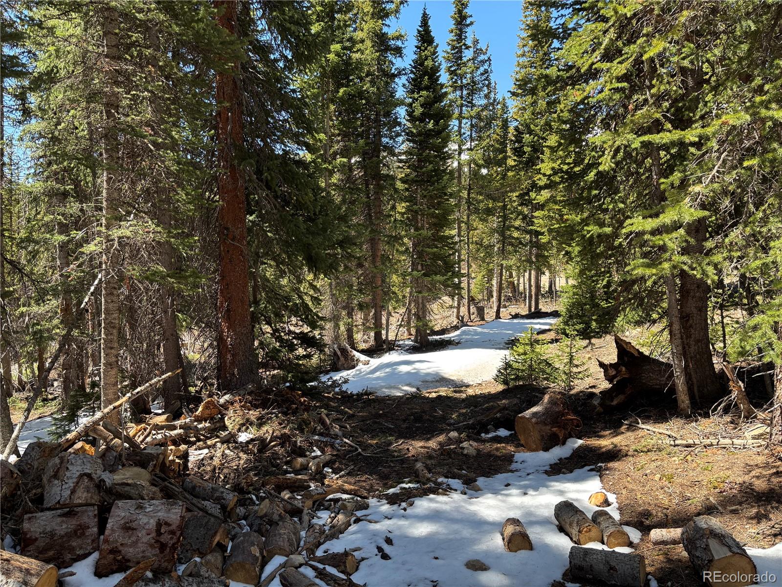 192 Kimmes Ln Lot 40, Breckenridge, CO 80424