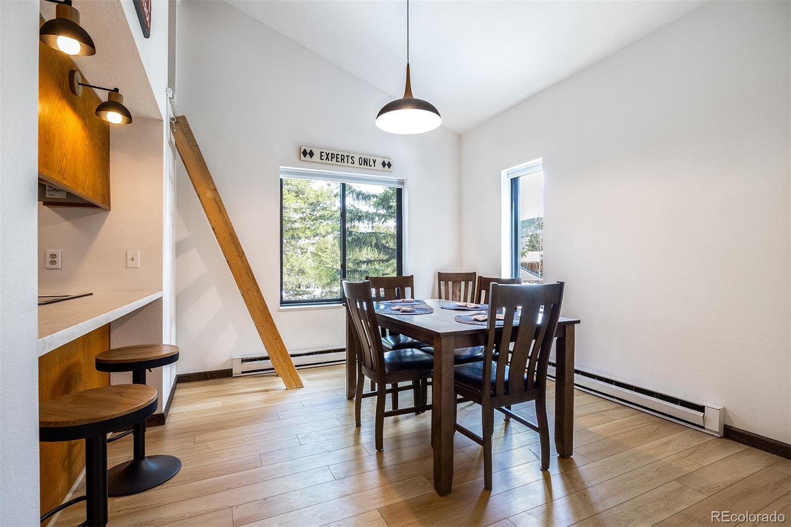 315 S 2nd Ave #204, Frisco, CO 80443