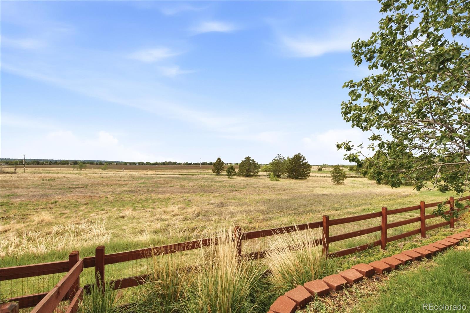4300 Red Deer Trl, Broomfield, CO 80020