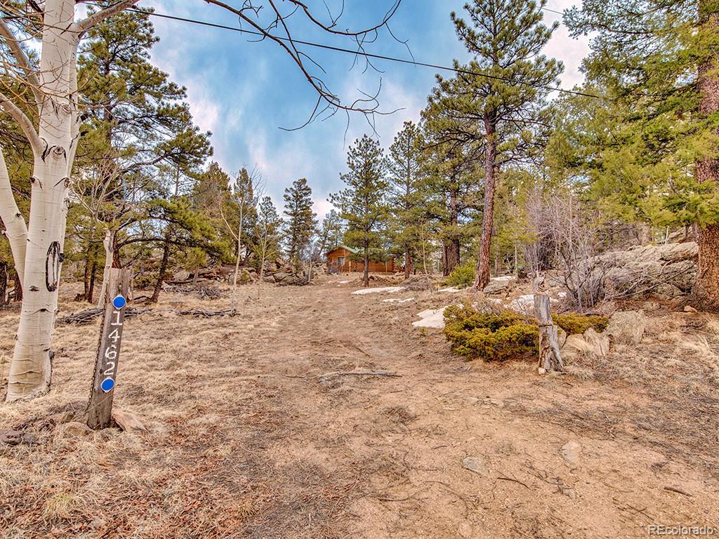 1462 Pulver Rd, Lake George, CO 80827