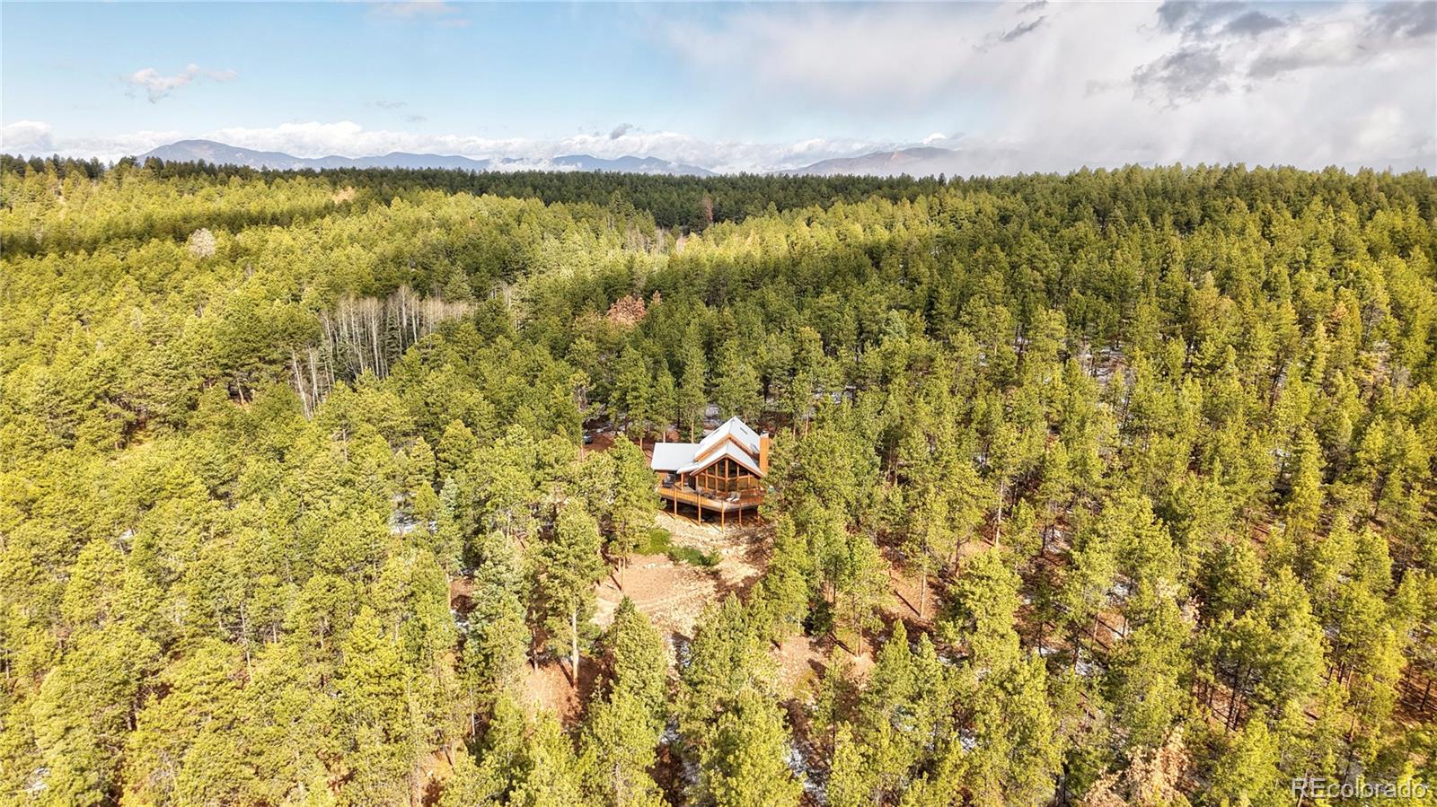 3613 Trail Creek Rd, Florissant, CO 80816
