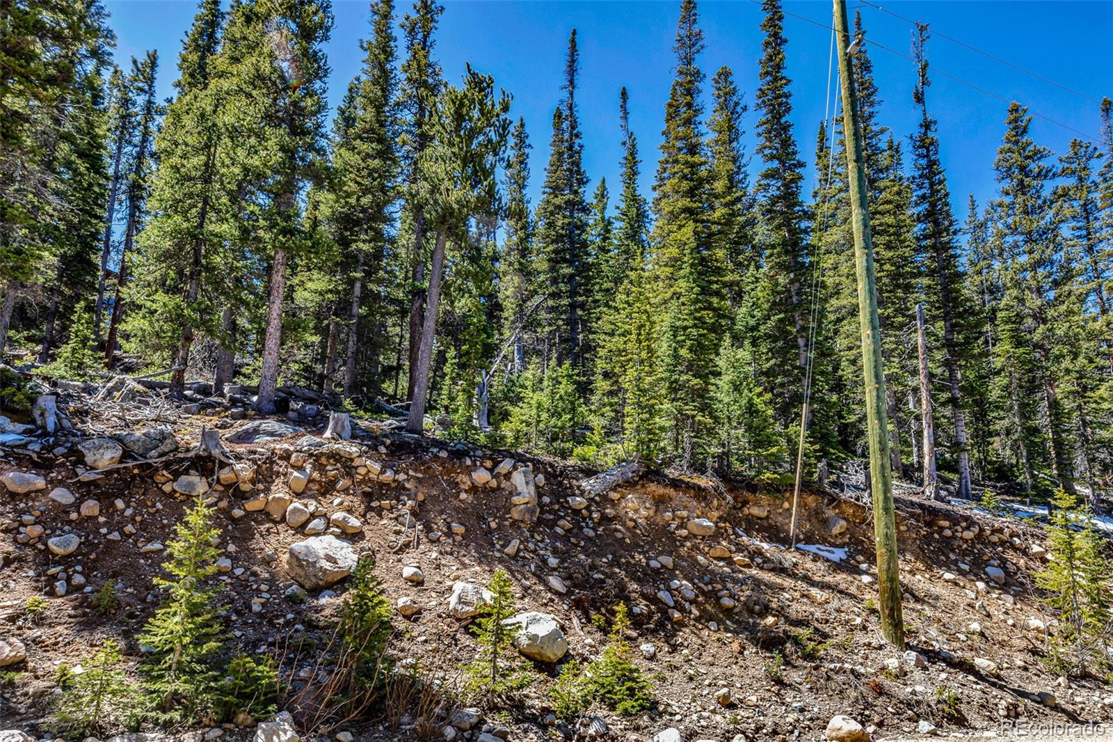 880 Gold Pan Ln Lot 0739, Fairplay, CO 80440