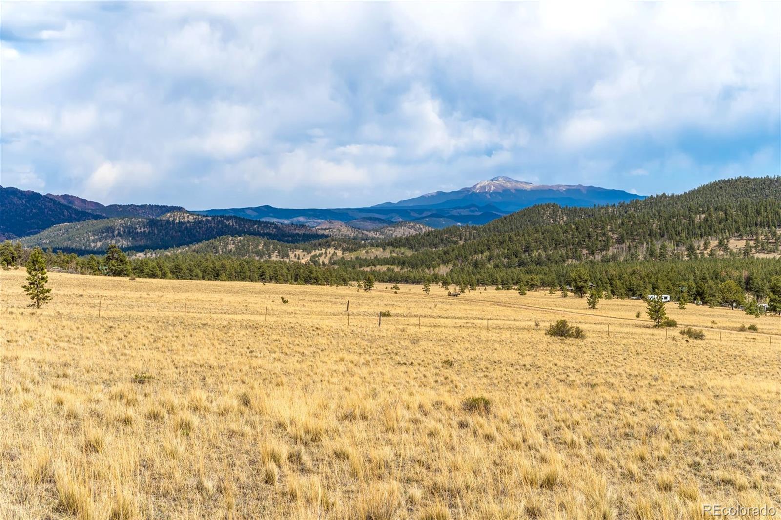 Pike View Dr, Lake George, CO 80827