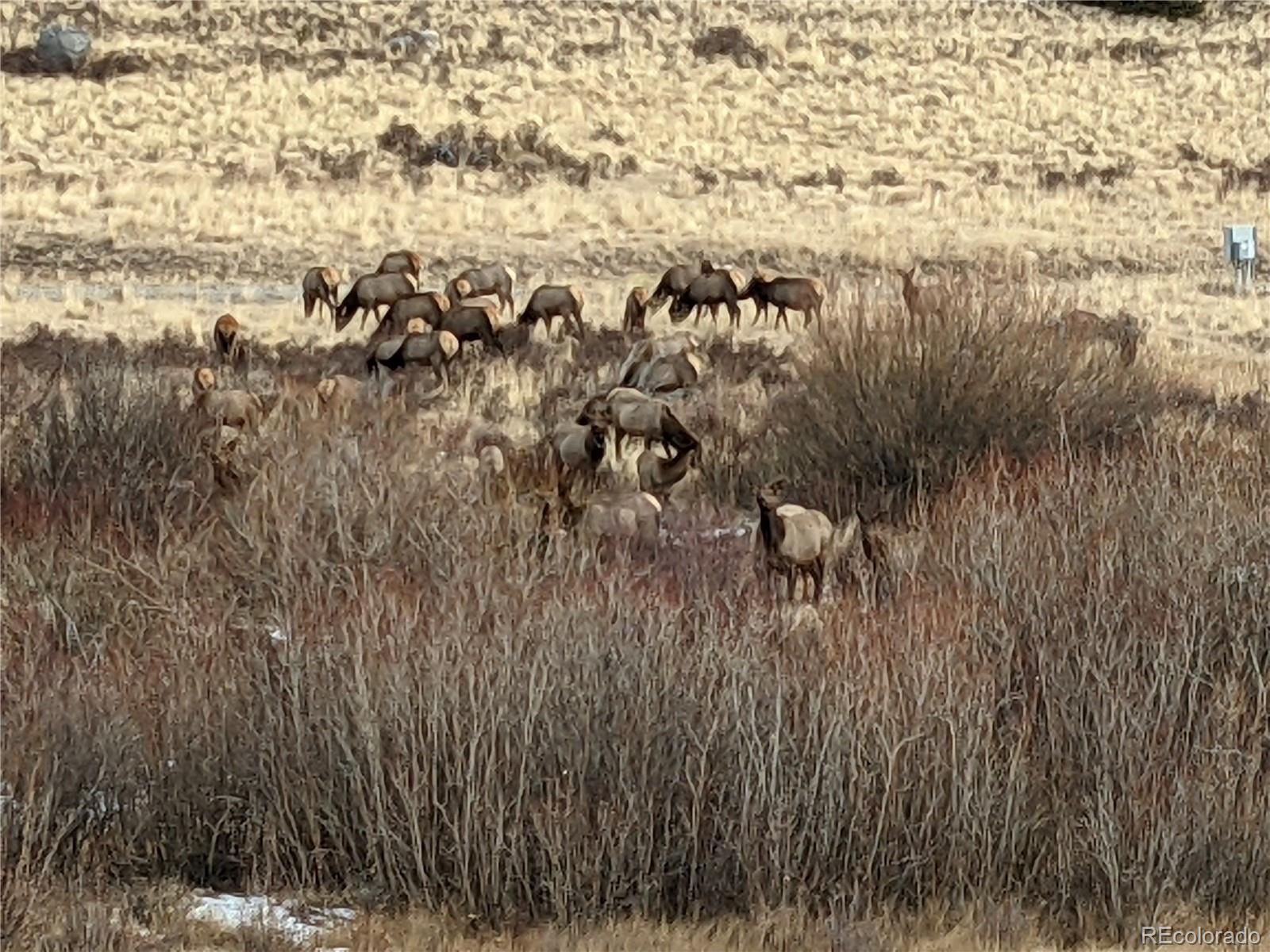 0 Snow Cap Peaks Rd Lot 10, Alma, CO 80402