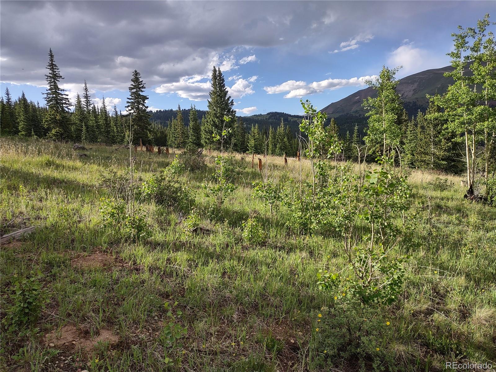 0 Snow Cap Peaks Rd Lot 10, Alma, CO 80402