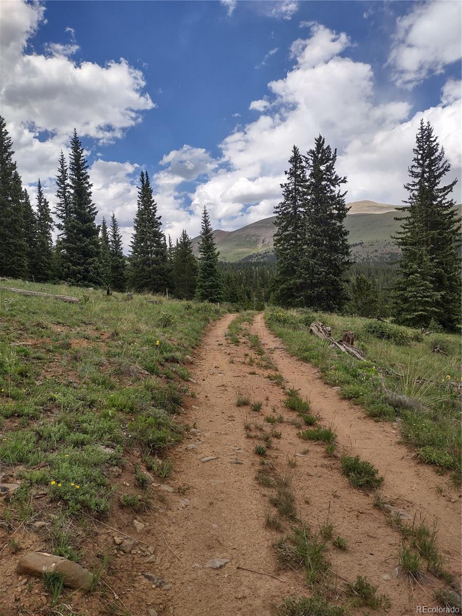 0 Snow Cap Peaks Rd Lot 10, Alma, CO 80402
