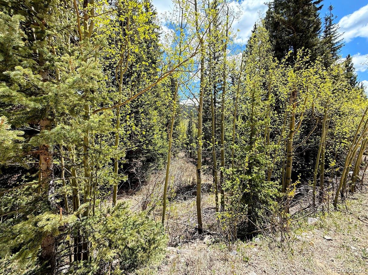324 Bauxite Ln, Fairplay, CO 80440