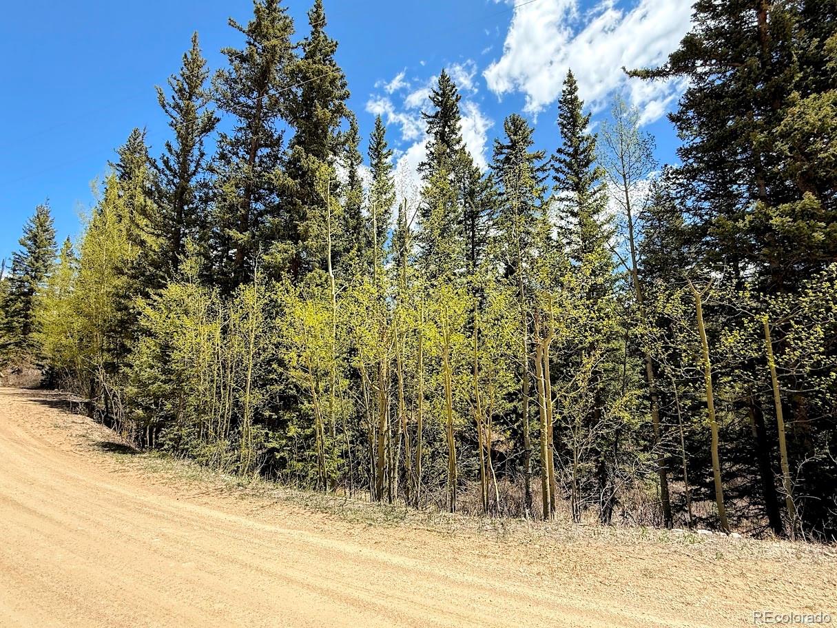 324 Bauxite Ln, Fairplay, CO 80440