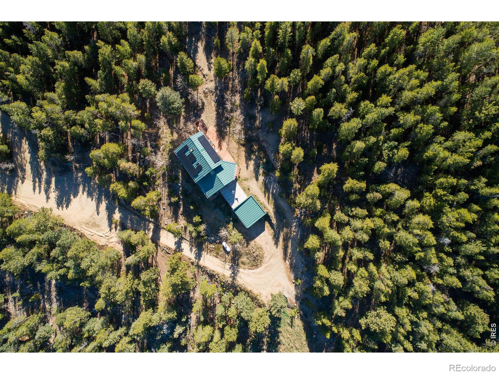 103 Last Chance Ct, Nederland, CO 80466