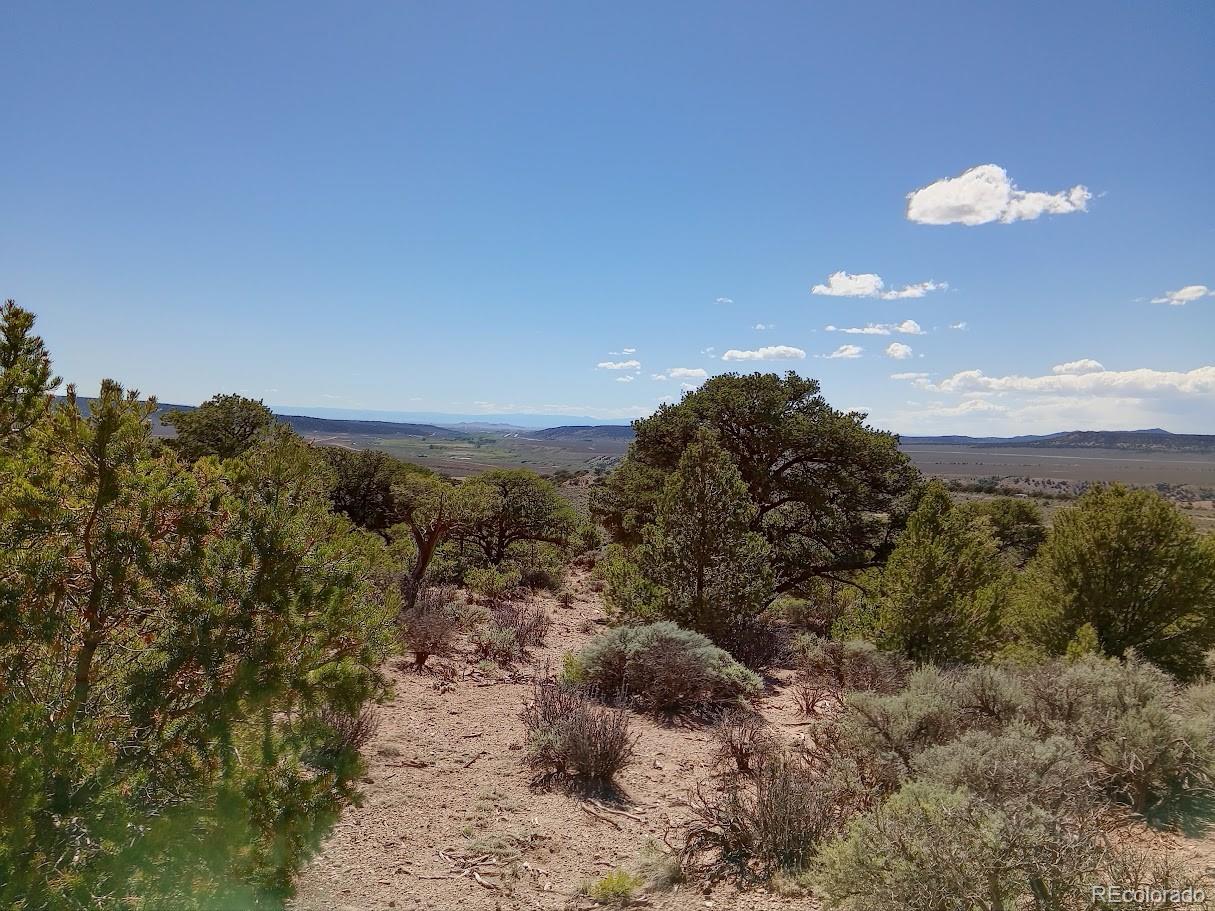 5 acres Reg Jones Rd, Fort Garland, CO 81133