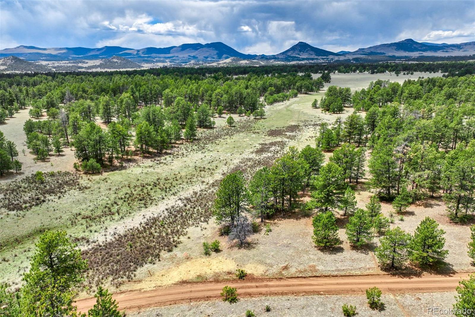 Tract 103 Doe Valley Rd, Guffey, CO 80820