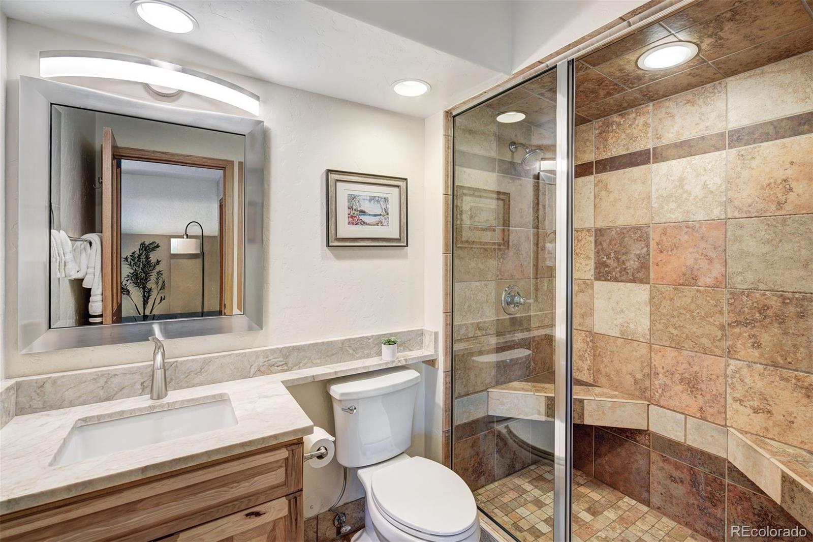 442 White Cloud Dr, Breckenridge, CO 80424