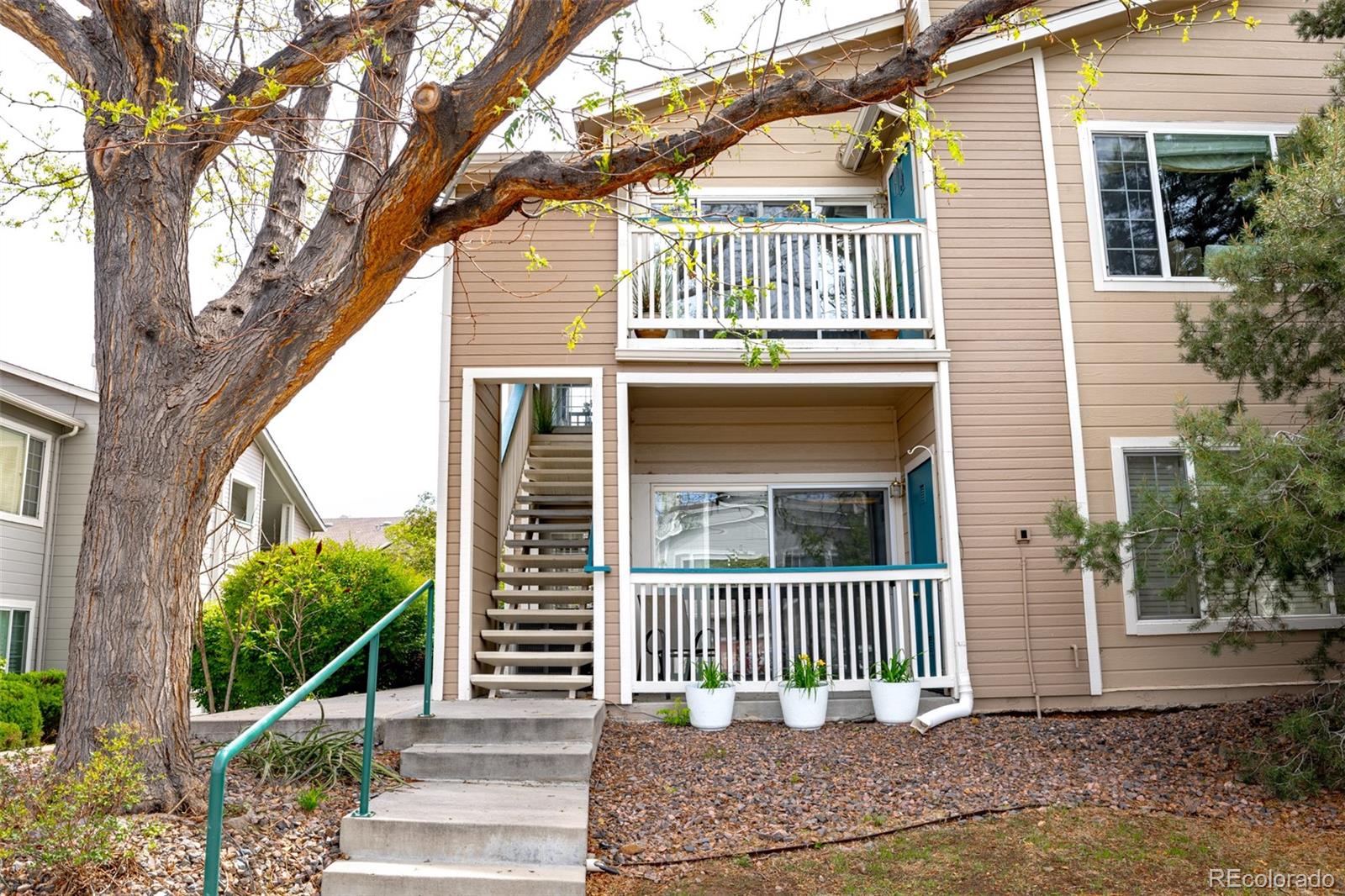 3847 Mossy Rock Dr #203, Highlands Ranch, CO 80126