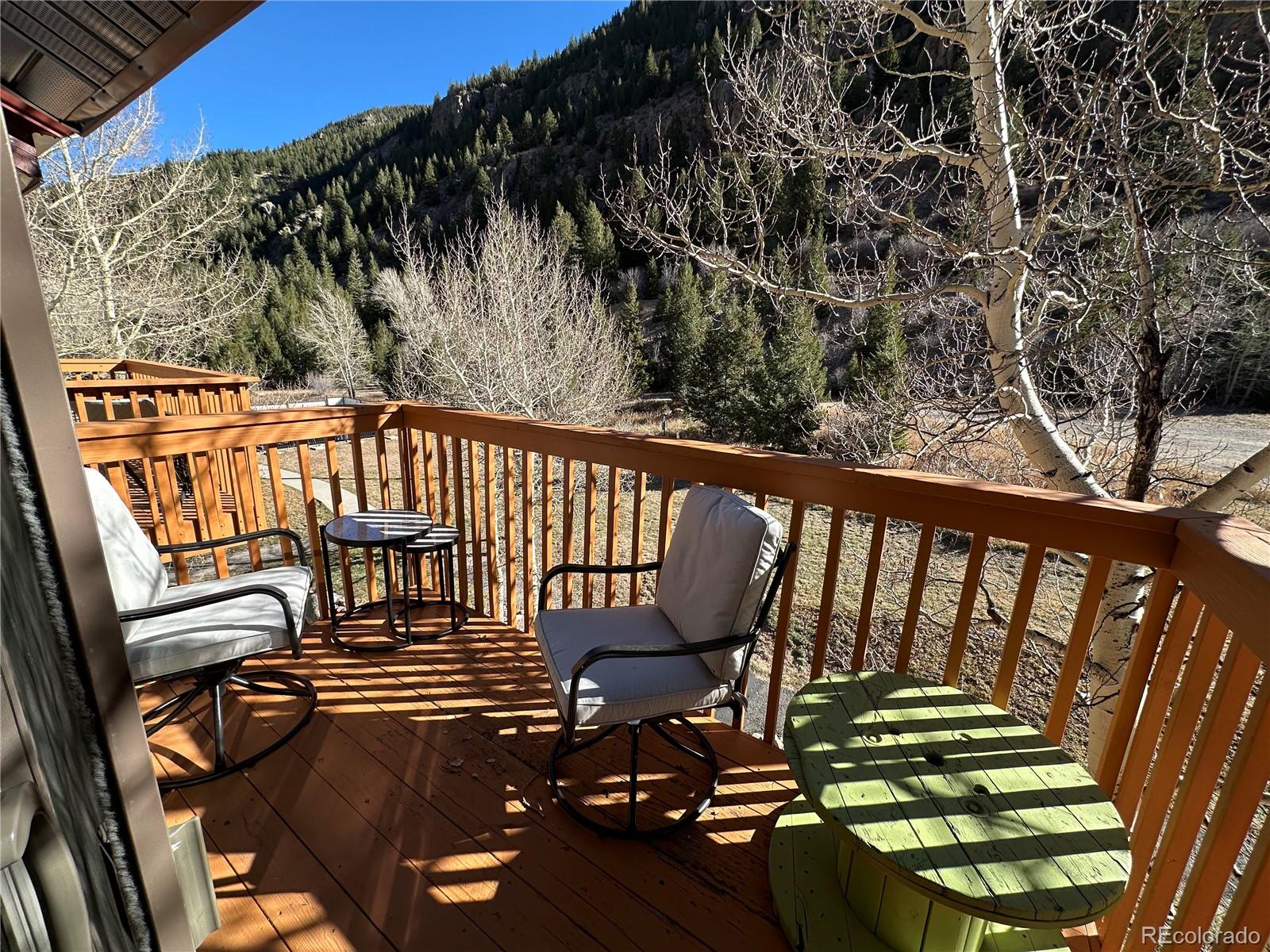 1901 Clear Creek Dr #D301, Georgetown, CO 80444