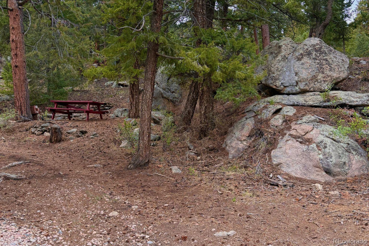 25845 Wilkerson Rd, Conifer, CO 80433