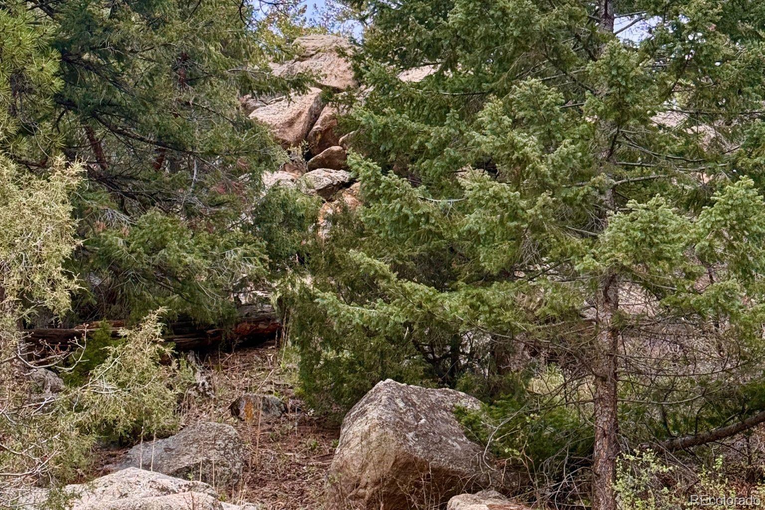 25845 Wilkerson Rd, Conifer, CO 80433