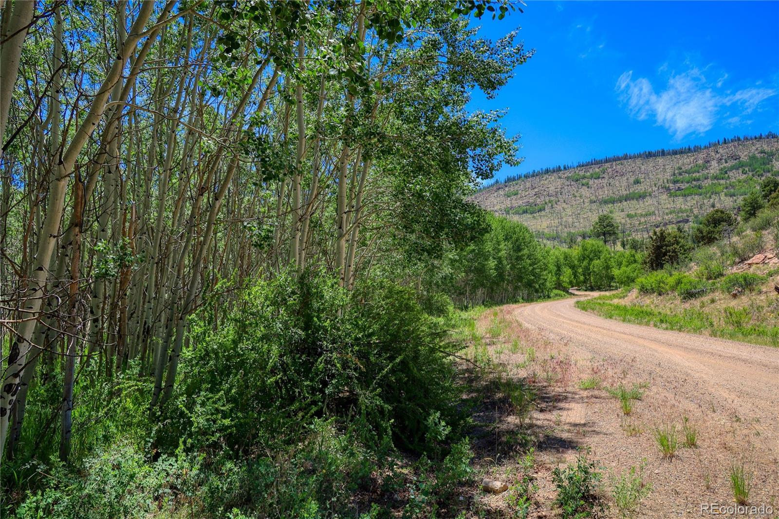 302 Rickel Cir Lot 24, South Fork, CO 81154