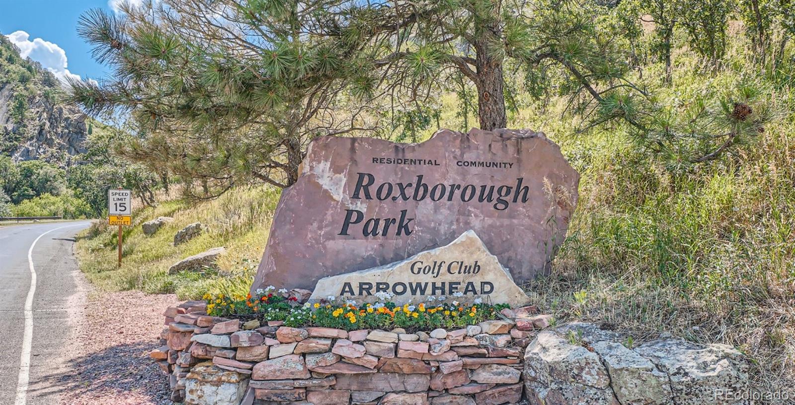 8875 Whiteclover St, Littleton, CO 80125