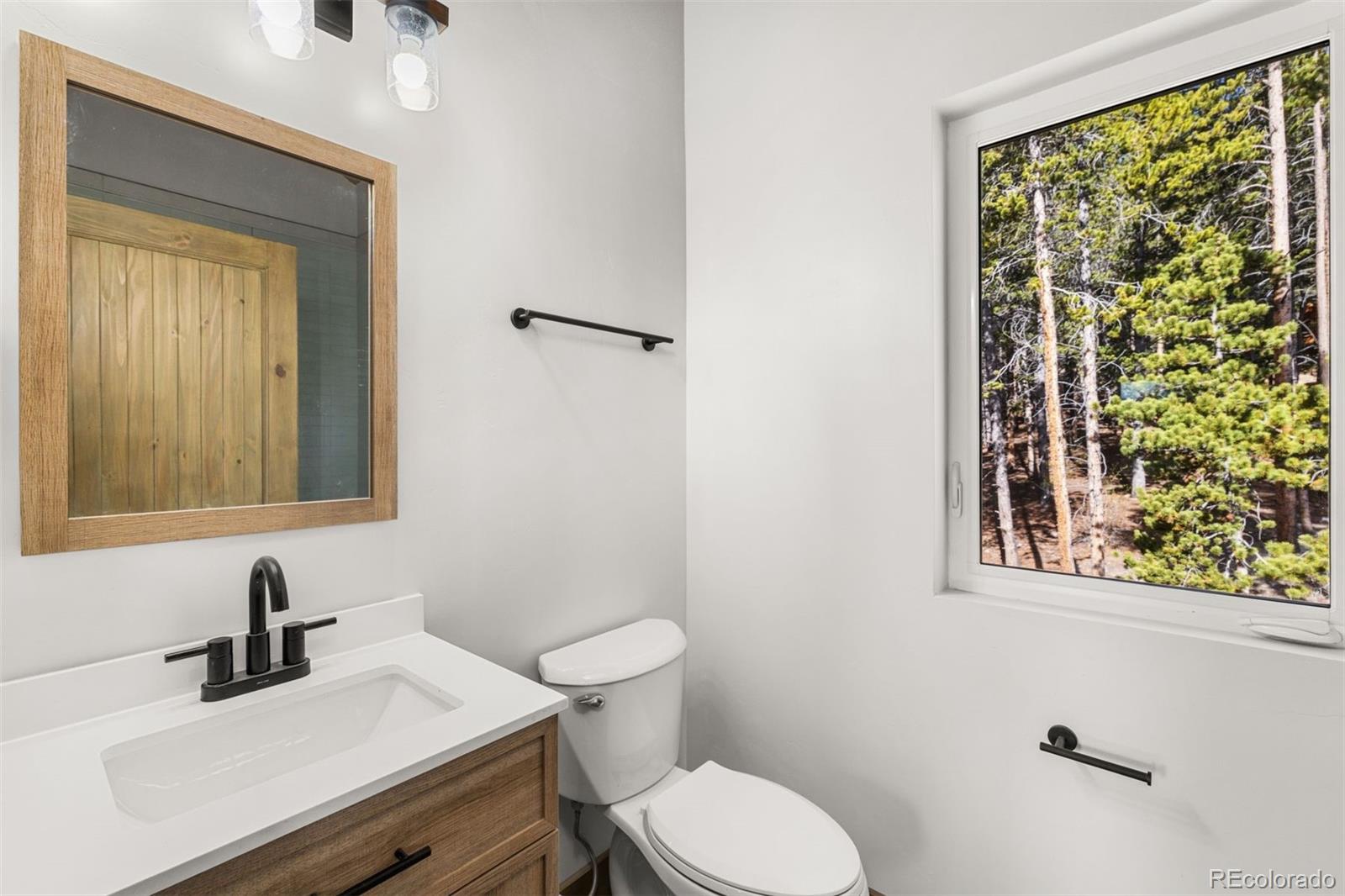 141 N Aspen St, Alma, CO 80420