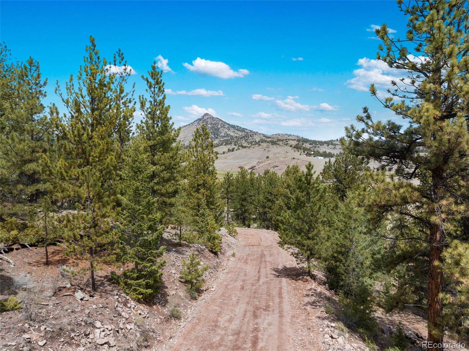 11396 County Rd 102, Guffey, CO 80820
