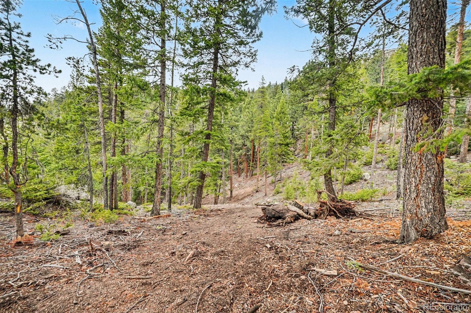 7141 Timber Trail Rd Lot 4&5, Evergreen, CO 80439